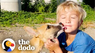5YearOld Boy Insists On Rescuing Abandoned Puppies | The Dodo