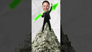 How did Elon Musk Got So Rich?