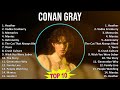 Conan Gray 2025 MIX 1 HOUR Heather Vodka Cranberry Memories Maniac 