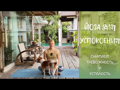 Видео: Йога для спокойствия/ Вечерняя йога/ Йога от стресса, тревожности и усталости