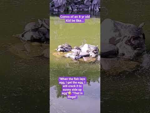 A Conversation Of An Eight Year Old Kid Be Like