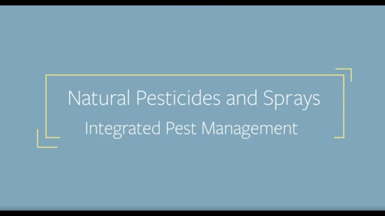 Natural Pesticides and spray - Integrated Pest Management | Harley Smith's Master Growers Series