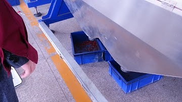 red bean color sorting machinery from Summer +86-18655954627