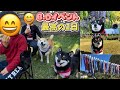 小粒黒柴のB.Dイベントで最高の一日になりました！