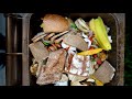 Lebensmittelverschwendung: Essen im Müll | Panorama 3 | NDR