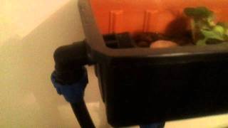 Video 2011 09 03 18 11 37