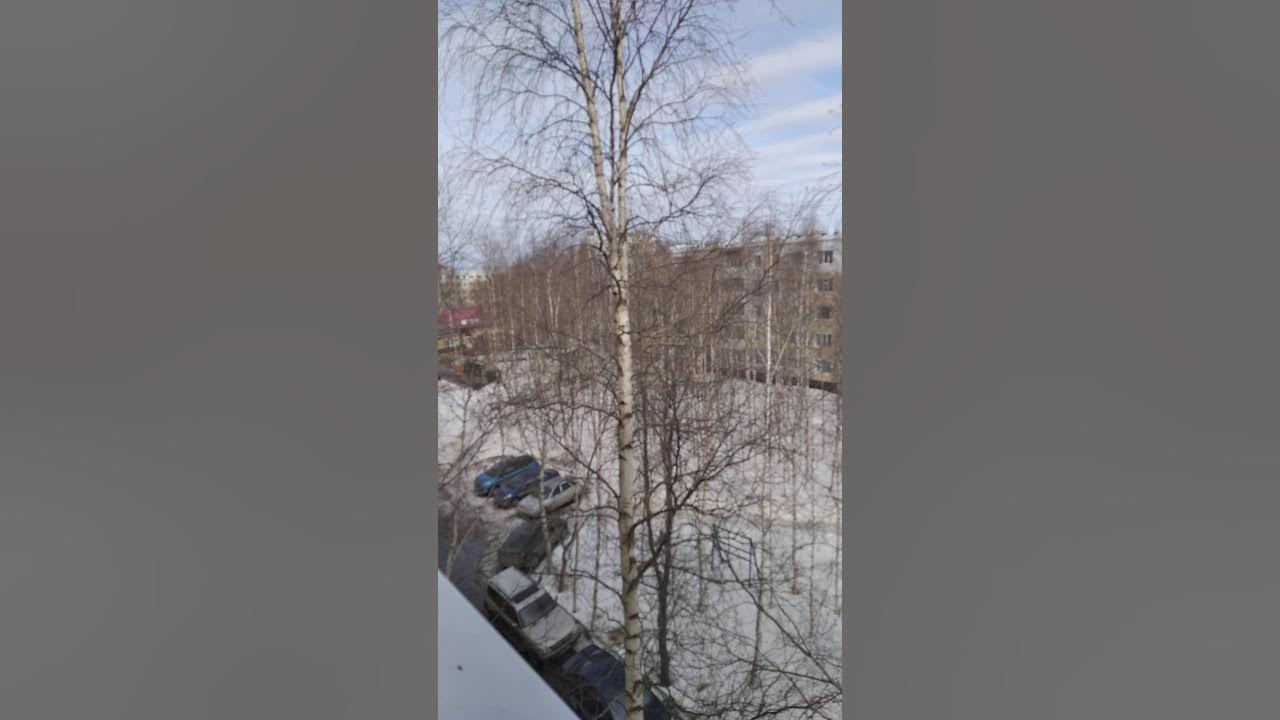 Сирена в курске сегодня. Сирена в курске сегодня