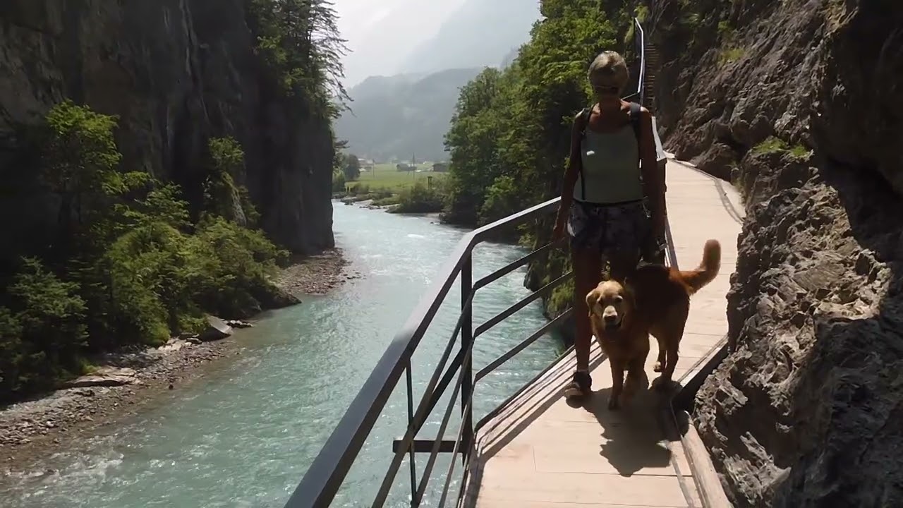 ep268 Innertkirchen Vanlife failure in Switserland