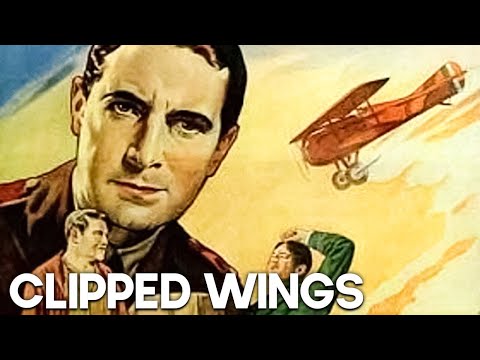 CLIPPED WINGS