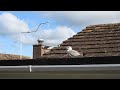 The latest episode of Al`s seagull project.