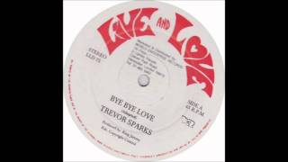 Video thumbnail of "Trevor Sparks Bye Bye Love"