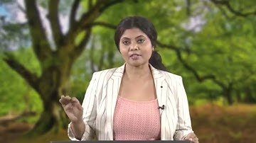 LECTURE 45: EIA METHODS - TRANSPORT #CH29SP #swayamprabha