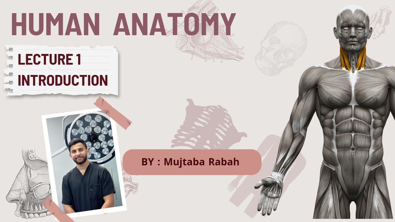 Human Anatomy | Lec.1- Descriptive Anatomic terms | طب أسنان مرحلة أولى - جامعة اوروك