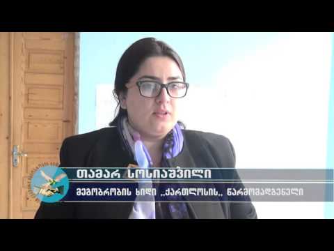 აქცია „მიაწვდინე ხმა\" გრძელდება