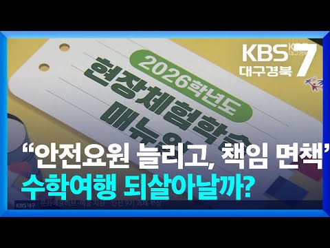 “안전요원 늘리고, 책임 면책”…<strong>수학여행</strong> 되살아날까? / KBS  2026.06.17.