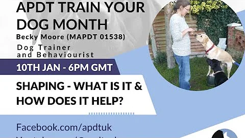 Day 6 Train Your Dog Month - Shaping with Becky Mo...