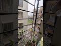 Dil ka kya kare #youtubeshorts #shortsfeed #vlogger #lifeisbutadream