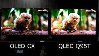 OLED CX vs QLED Q95T Side by Side 4K HDR Demos and Terrestrial HD TV Content