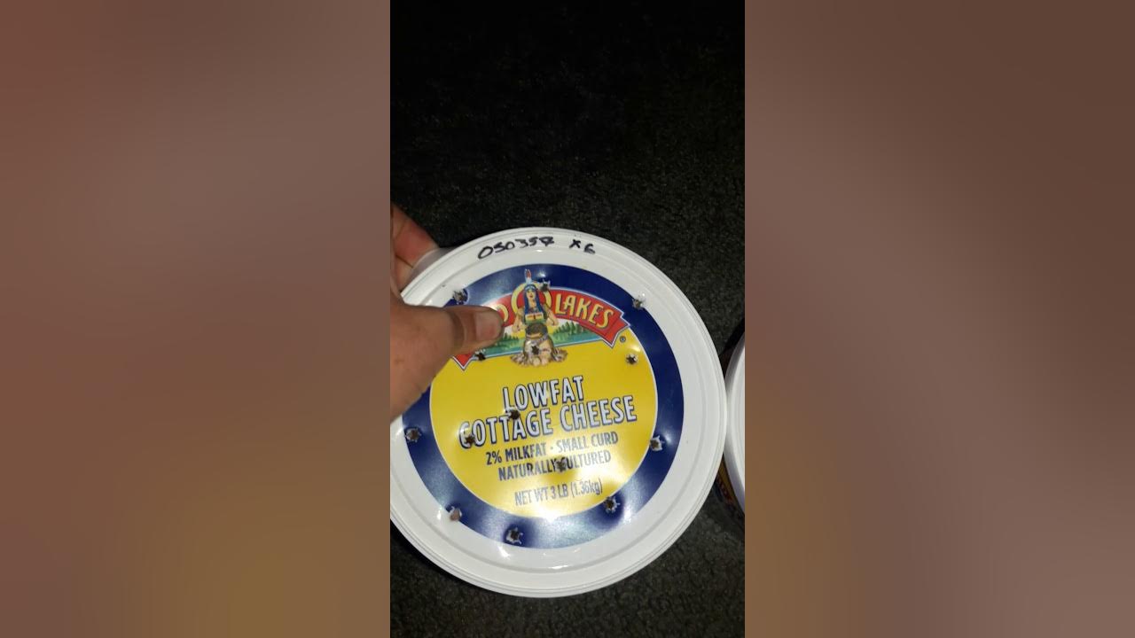 Twin cities reptile is a joke! - YouTube