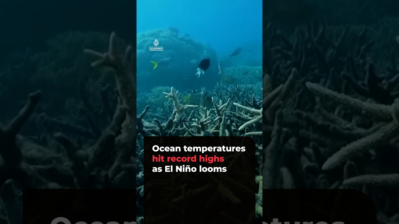 Ocean temperatures hit record highs as El Niño looms