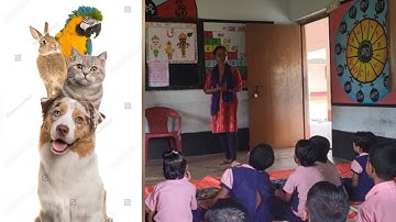 IGNOU /DECE-04 PROJECT WORK VIDEO/PHASE-3/DAY-4/ACTIVITY-3/JANUARY SESSION