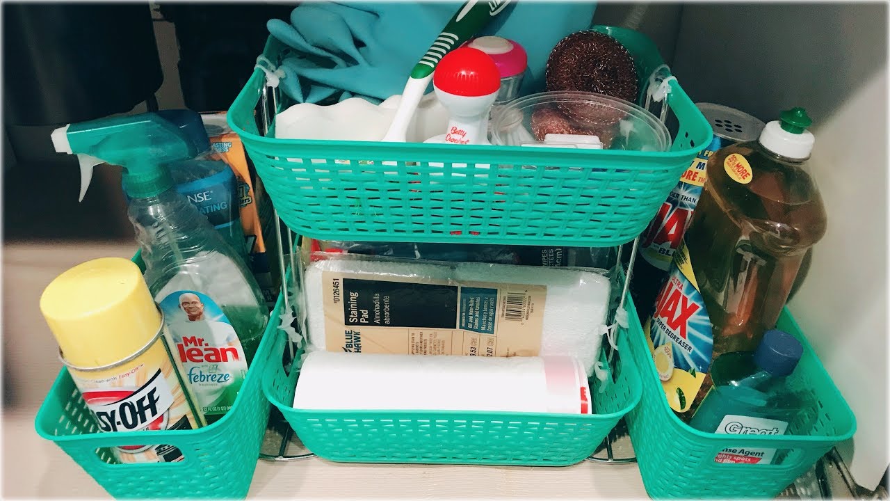 Under the Kitchen Sink Organization with Dollar Store Bins