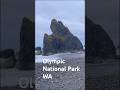 Sole car camping in Olympic National Park WA