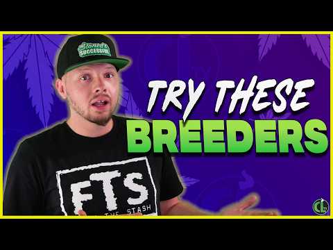 Breeders You’re Sleeping On (that Make Dank Strains!)