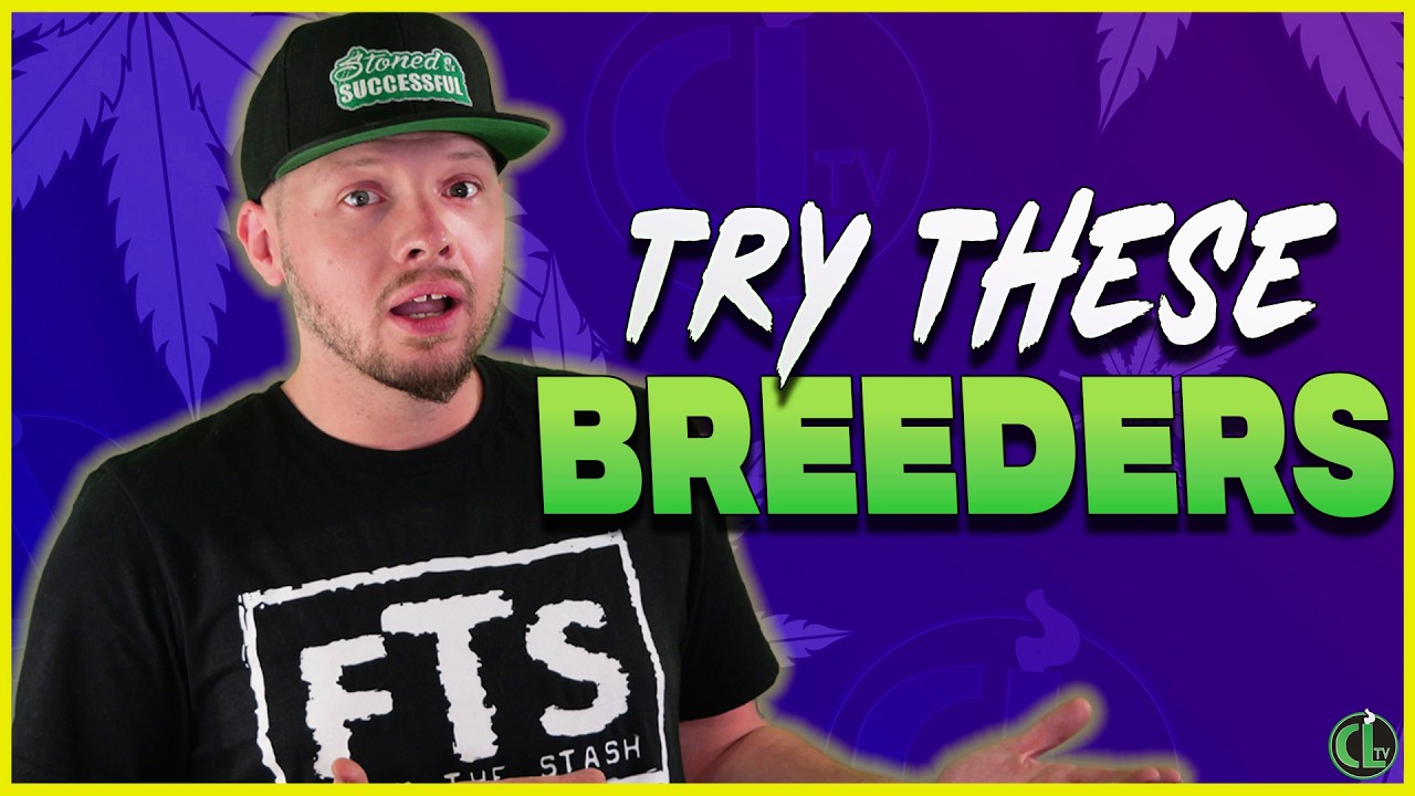 Breeders You’re Sleeping On (That Deserve Way More Respect!)