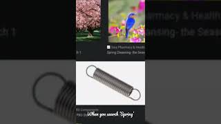 When you search up ‘Spring’ #shorts #memes #spring