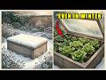 I Harvest Thirty Vegetables From My Raised Bed in January