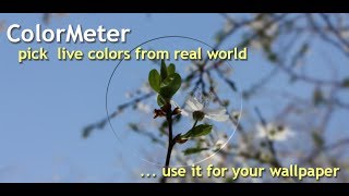 Best colors for your designs | ColorMeter  - pick live colors around. screenshot 2