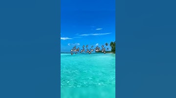 واتس أب قرآن كريم القارئ نايف الفيصل من سورة (إبراهيم)