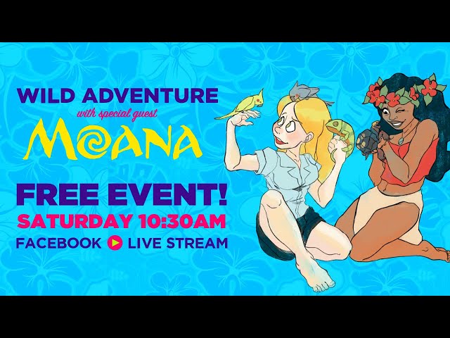 🏝 Wild Adventure with the REAL MOANA 🌊 ! Once Upon A Party Collaboration! 🦀 Disney & Animals! 🐓