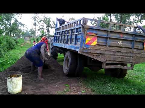 MOYO TULIA BY TABITHA LUCIA OFFICIAL MUSIC VIDEO