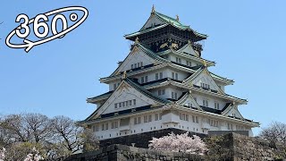 【360° VR】大阪城と桜 / Osaka Castle and Sakura (Cherry Blossoms)