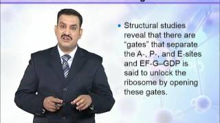 BIO302_Topic154