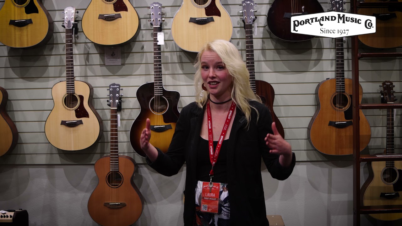 【Singer】Acoustic Imagine Series P01 IMAGINE 01 SERIES – SINGER GUITARS