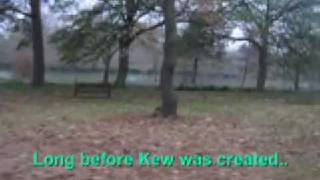 Kew Gardens Part 2 New Years Day Trip