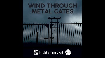 Wind Through Metal Gates Camera Audio vs Contact Microphones
