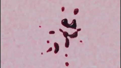 Klasky Csupo Effects (Sponsored by Preview 1982 Effects) In RGB To BGR