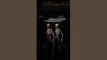ياسر الدوسري -- سورة المؤمنون (ولقد خلقنا الانسان من سلالة من طين..) #ياسر الدوسري #سورة المؤمنون