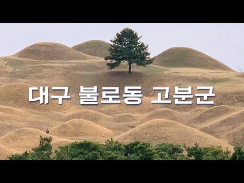 [대구 여행] 이른 봄의 산책, 불로동 고분군 _ Walking in Daegu 대구 걷기