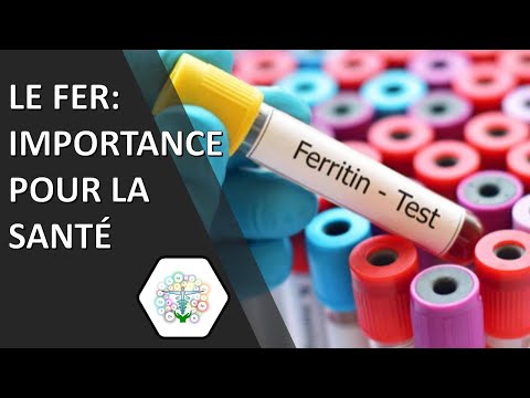 LE FER: IMPORTANCE POUR LA SANTÉ