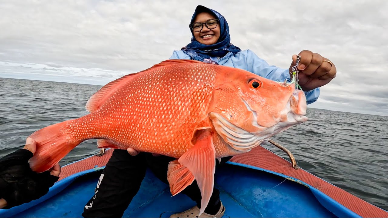 Spot Mancing Jigging Gacorr Dihuni Babon Kakap Merah Batu,, Full Betot !!