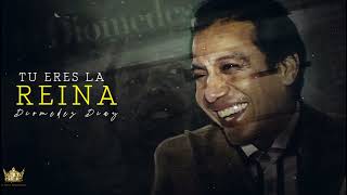 𝚃𝚞 𝙴𝚛𝚎𝚜 𝙻𝚊 𝚁𝚎𝚒𝚗𝚊 -𝑫𝒊𝒐𝒎𝒆𝒅𝒆𝒔 𝑫𝒊𝒂𝒛 @LaHoraParrandera