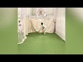 Omni practice session at lords indoor mcc cricket academy