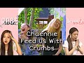 Chaennie Feed Us With Crumbs