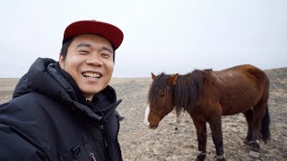 妈，我遇见了真的杀马特！[自驾游]东北-西北，全程13005KM，第十四集，喀木斯特-富蕴