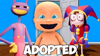 Baby Adopted by POMNI FAMILY!